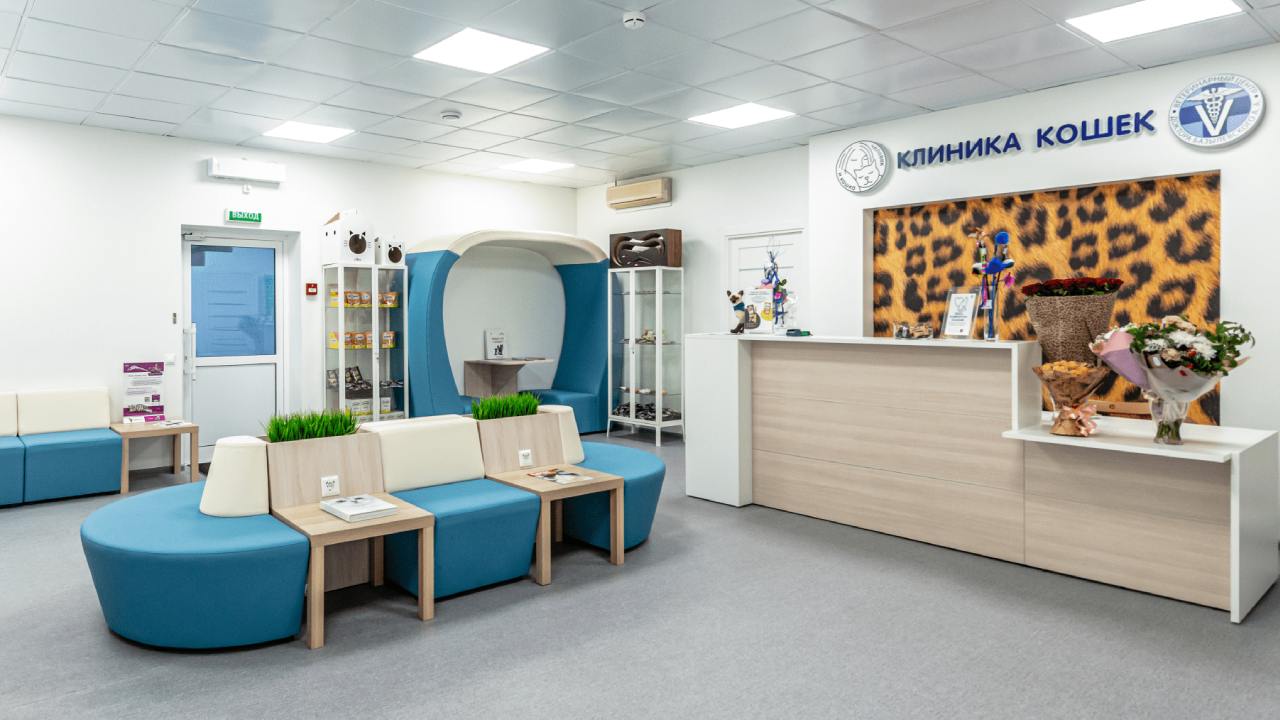 Клиника Кошек в Москве холл